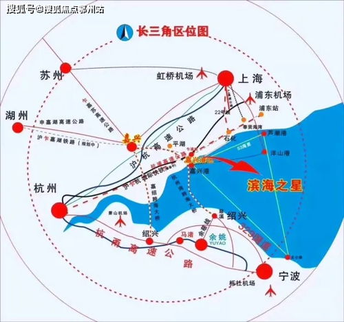 (熊猫 咖啡)探访熊猫咖啡屋手游：沉浸式体验，与可爱熊猫共度美好时光